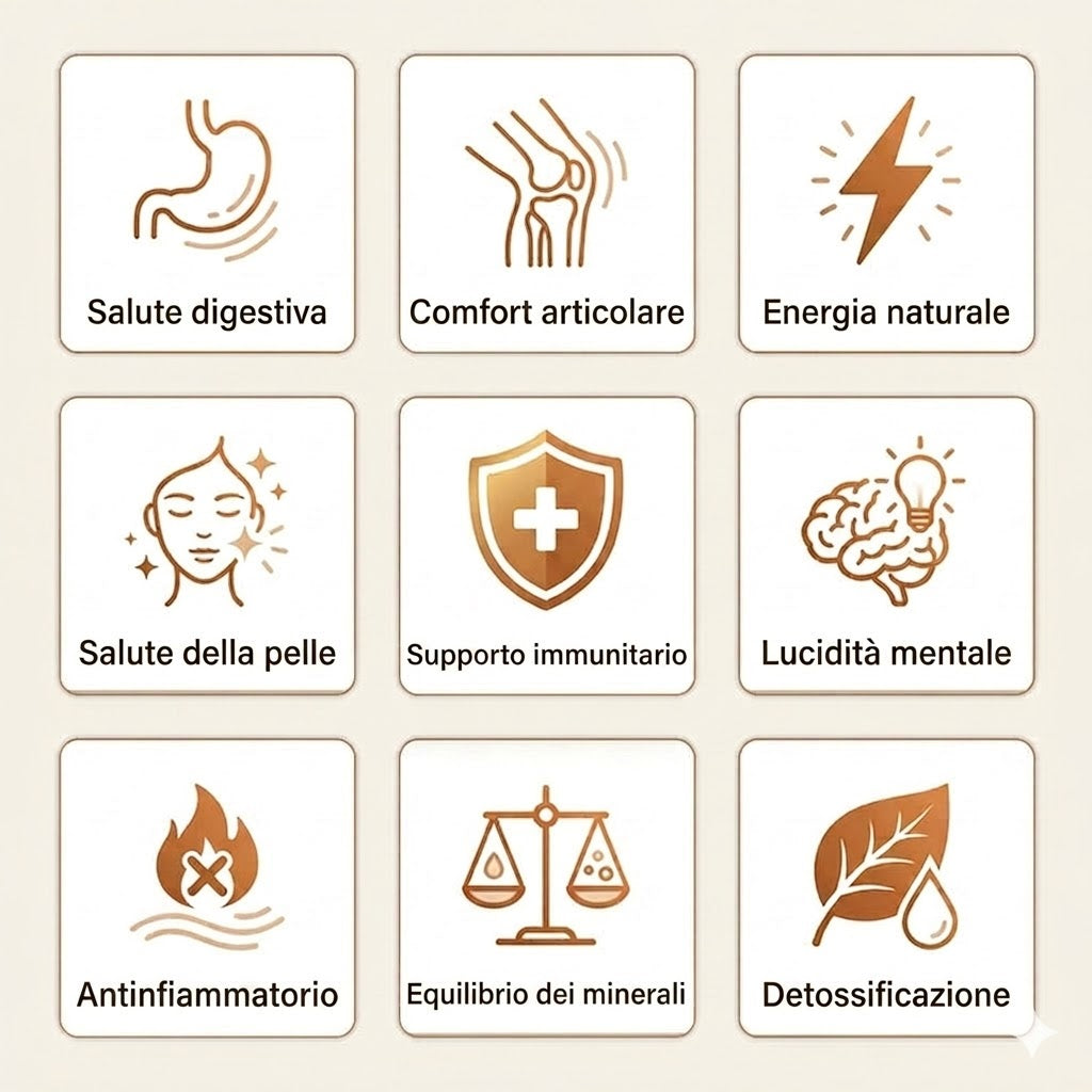 Borraccia in Rame – Senivya | Acqua Purificata Naturalmente, Senza Plastica