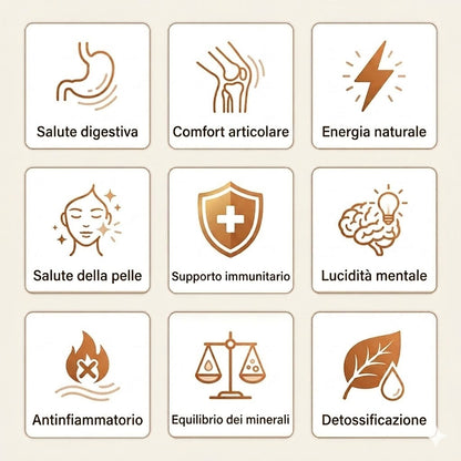 Borraccia in Rame – Senivya | Acqua Purificata Naturalmente, Senza Plastica